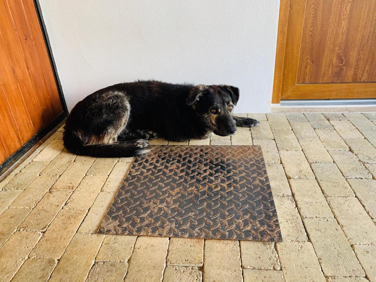Casa "La Moara Din Gradina" Hotel Eftimie Murgu Luaran gambar