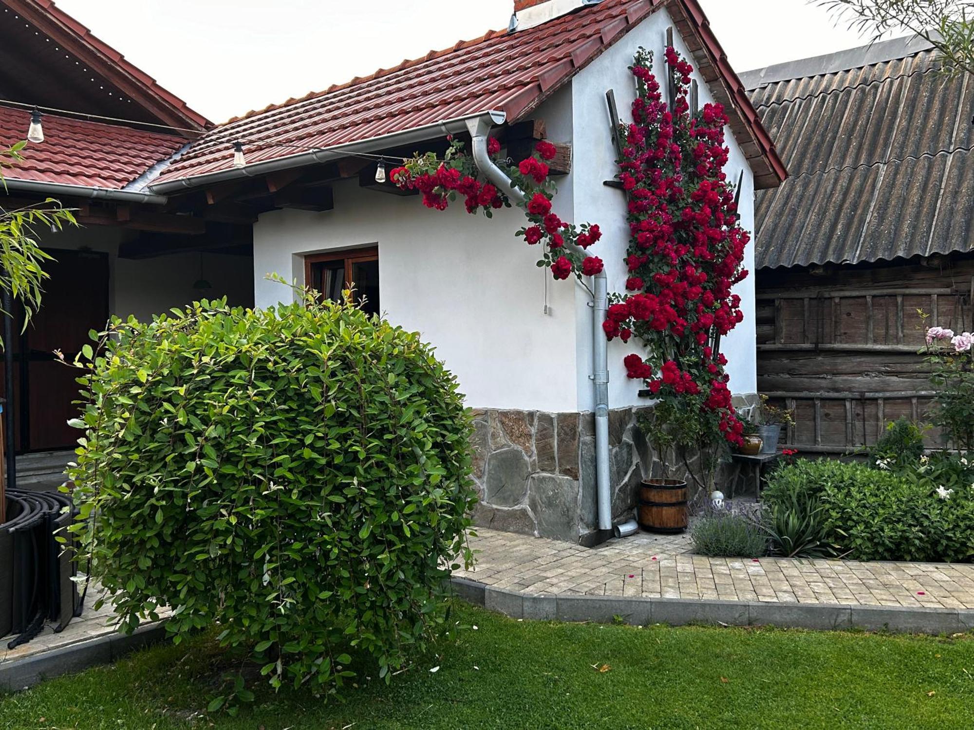 Casa "La Moara Din Gradina" Hotel Eftimie Murgu Luaran gambar